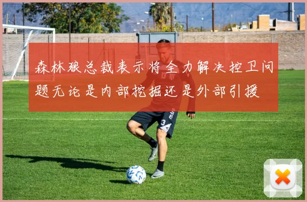 森林狼总裁表示将全力解决控卫问题无论是内部挖掘还是外部引援