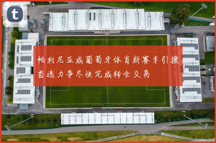 帕利尼亚成葡萄牙体育新赛季引援首选力争尽快完成转会交易